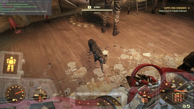 A screenshot of the video game Fallout 76 in which a cute tabby cat can be seen but not interacted with. The cat's name is labeled as "Sunny"