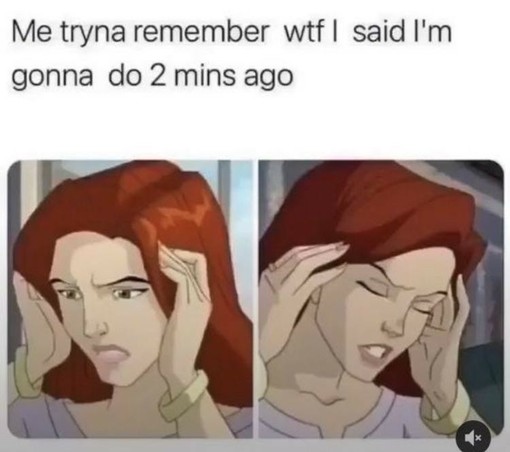 A two-panel meme that humorously captures a moment familiar to many with ADHD, where one struggles with short-term memory lapses. In both panels, an animated character with red hair appears distressed while trying to recall something. In the first panel, the character’s hand is on her forehead as she looks away, a look of confusion and concentration on her face. In the second panel, her eyes are closed, and her fingers are pressed against her temples, a classic gesture of deep thinking or frust…